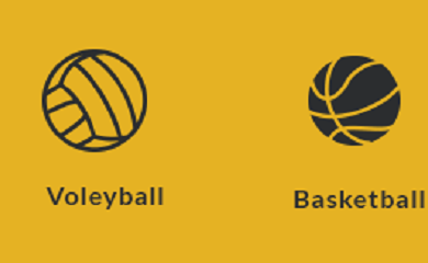 New Sports Portal for Coaches, Players, Agents, and Clubs: Changes that Help You Grow